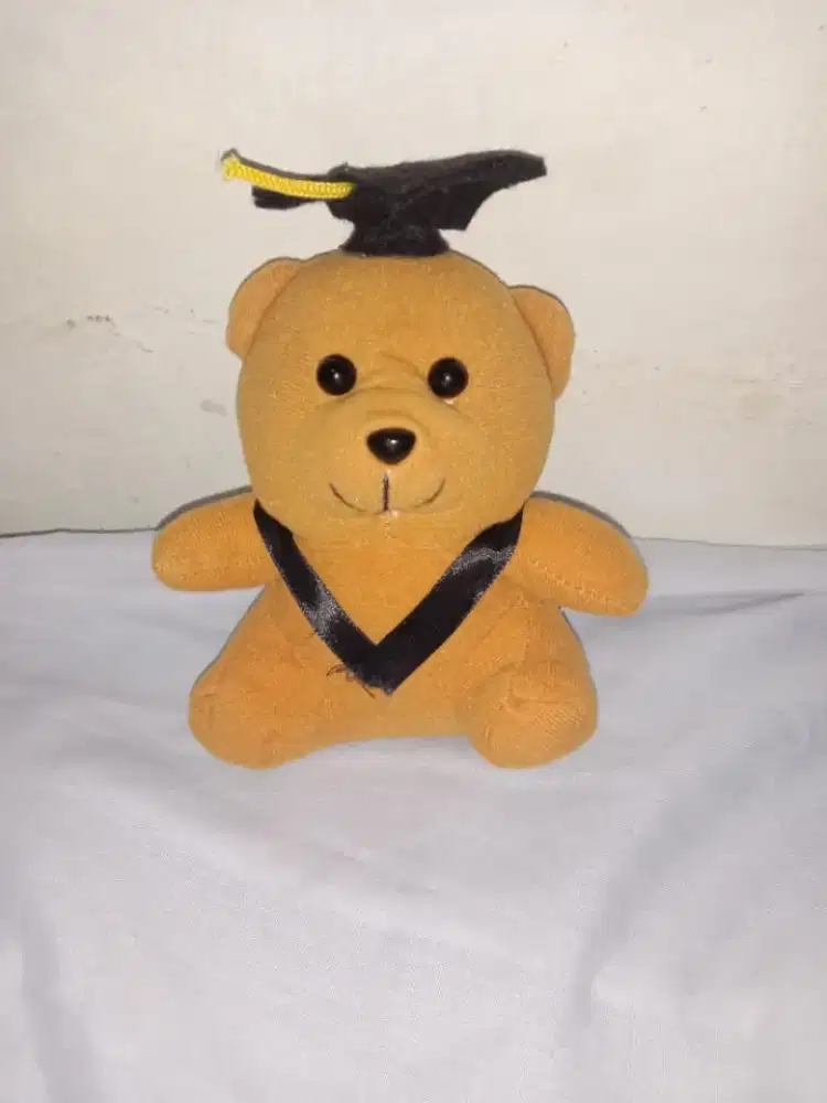 Boneka Wisuda Teddy bear - HSC 2025