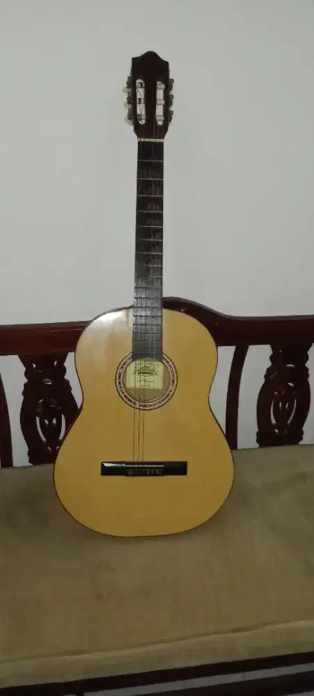 Gitar klasik costum