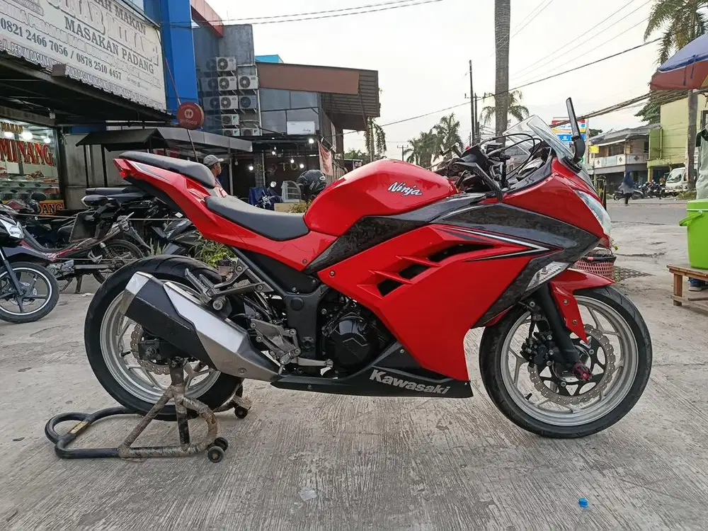 Kawasaki Ninja 250 Duel slinder