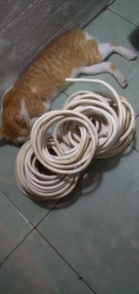 Kabel ETERNA dan Suprime