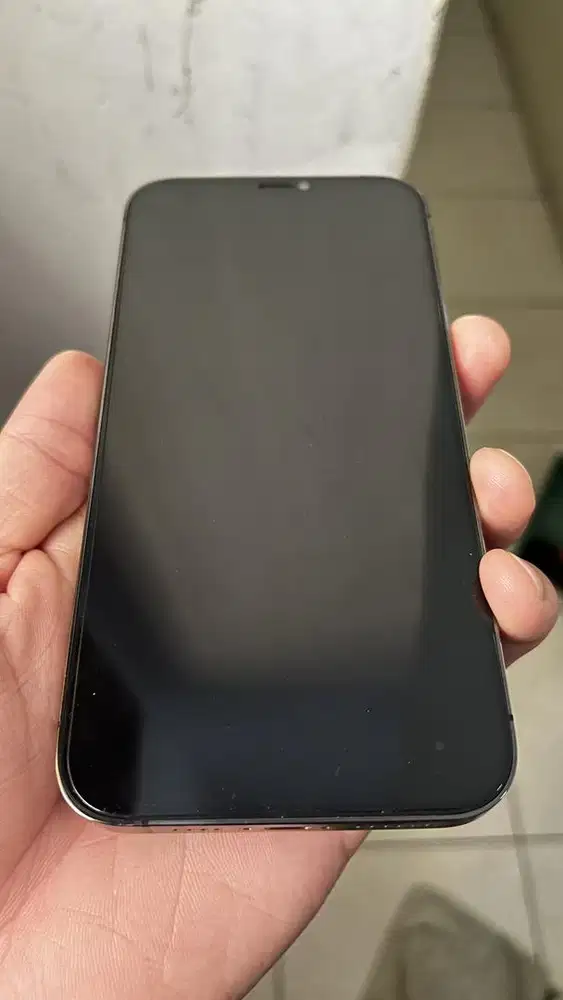 Iphone 12 Pro Max 128GB Inter Cukai (BH 92%) Grey