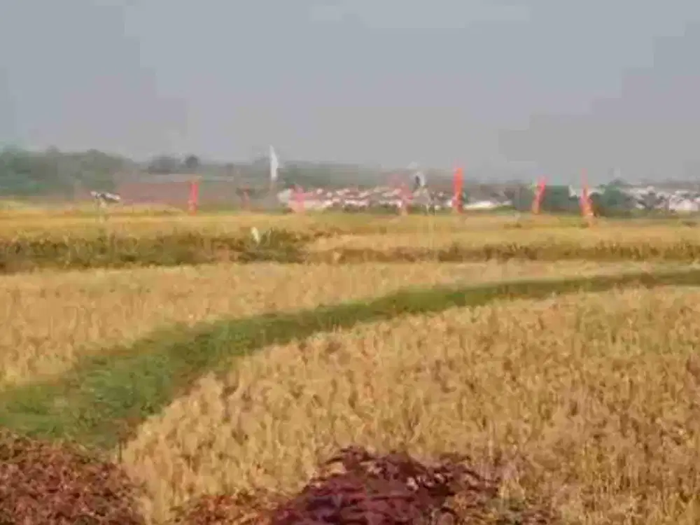 DIJUAL TANAH 16 HA ZONA KUNING MIJEN SEMARANG