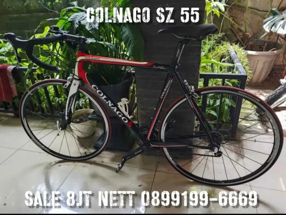 Sepeda roadbike balap Colnago