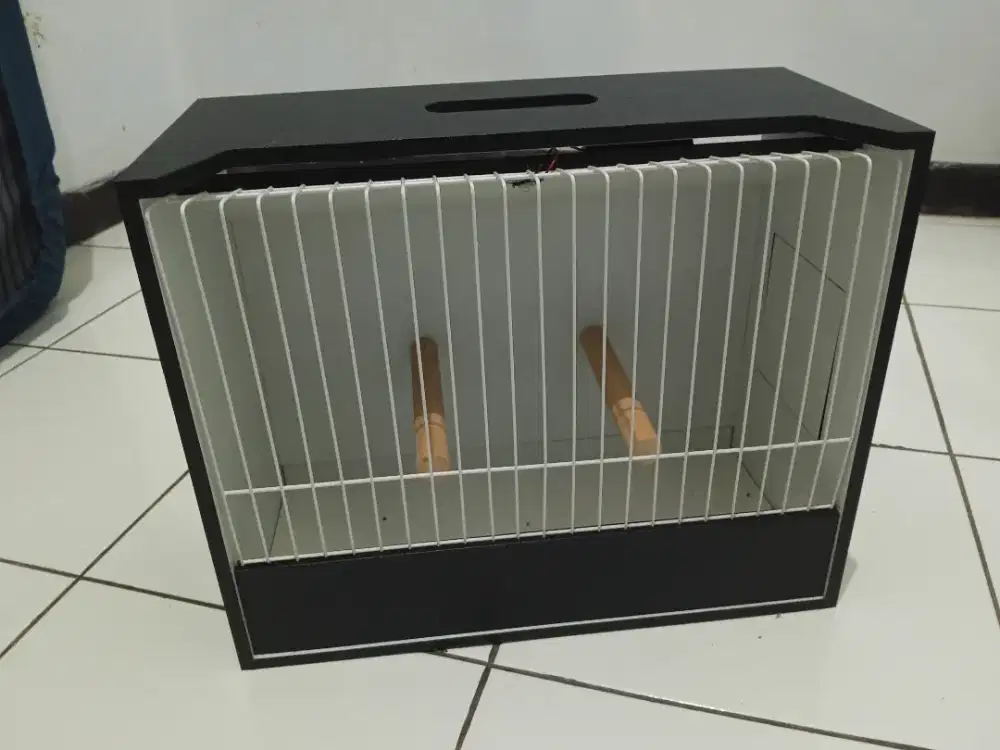 Sangkar lovebird box beauty contes