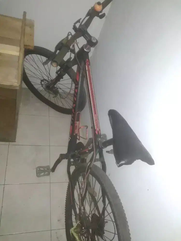 Sepeda gunung apa adanya