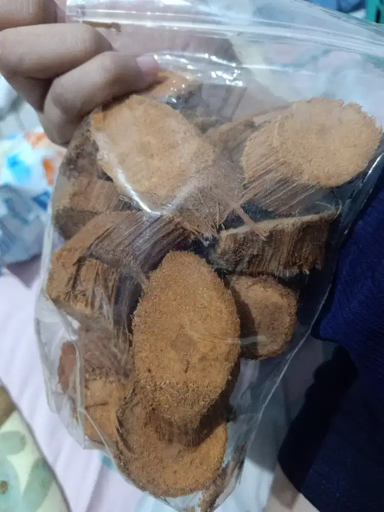 Kayu bajakah Kalimantan