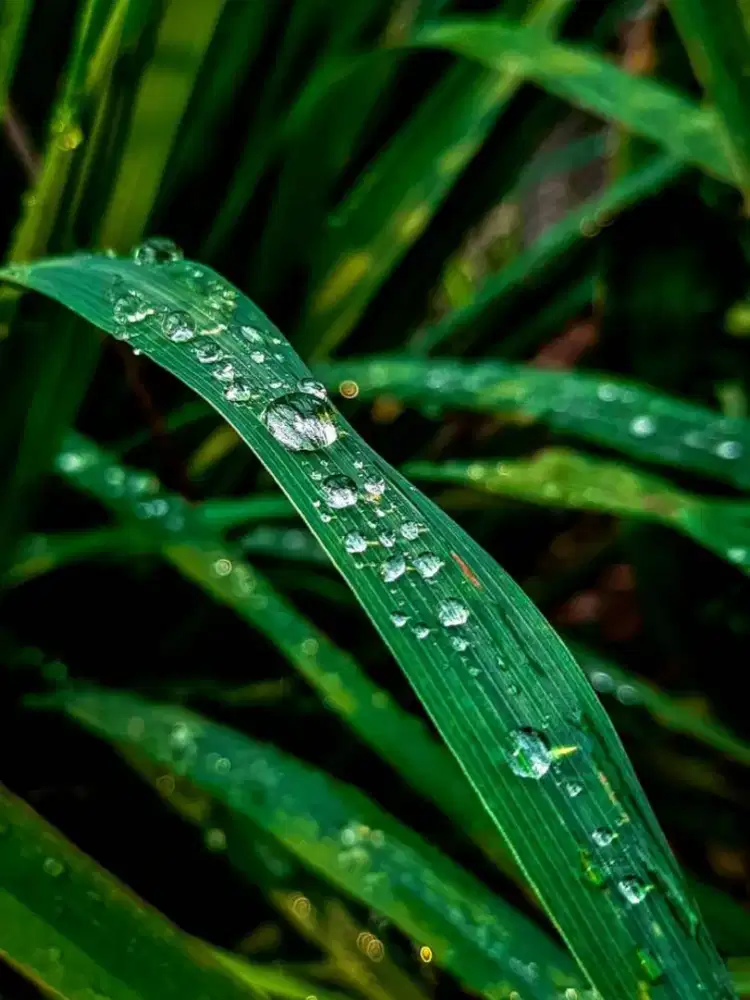 Kantor pelayanan konsultasi masalah pribadi , umum