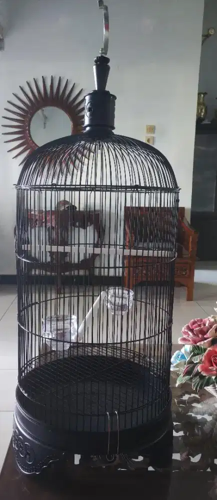 Dijual Kandang Bulat Merk Dragon Fullset Lengkap Kerodong Kondisi Baru