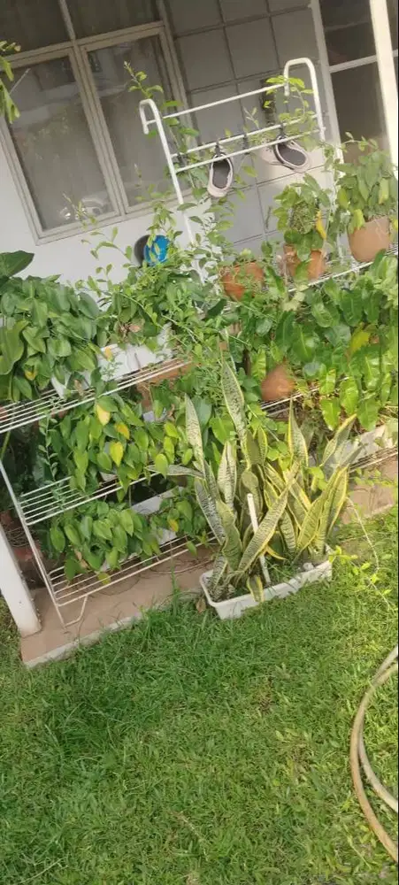 DIJUAL! RAK TANAMAN UNTUK TAMAN