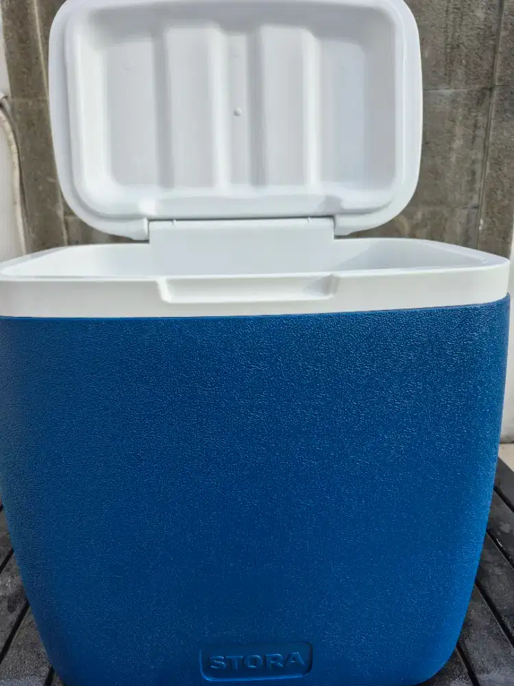 ACE STORA 28ltr ROLLER COOLER BOX