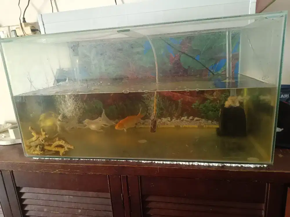 Aquarium 1 set dengan filter dan pompa