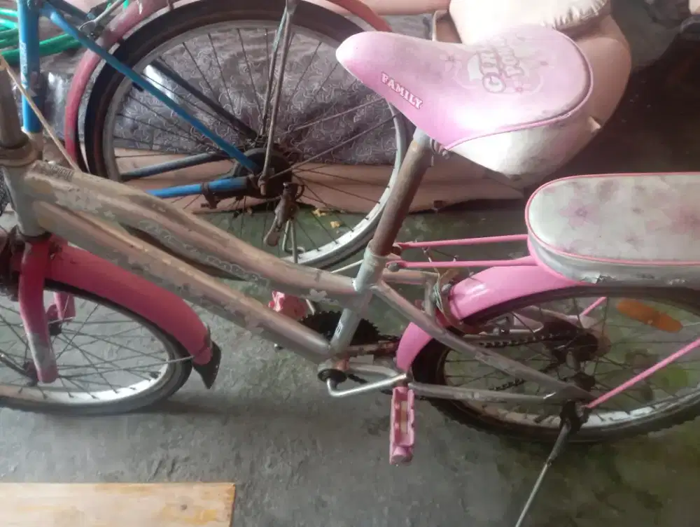 Sepeda Anak cewe family