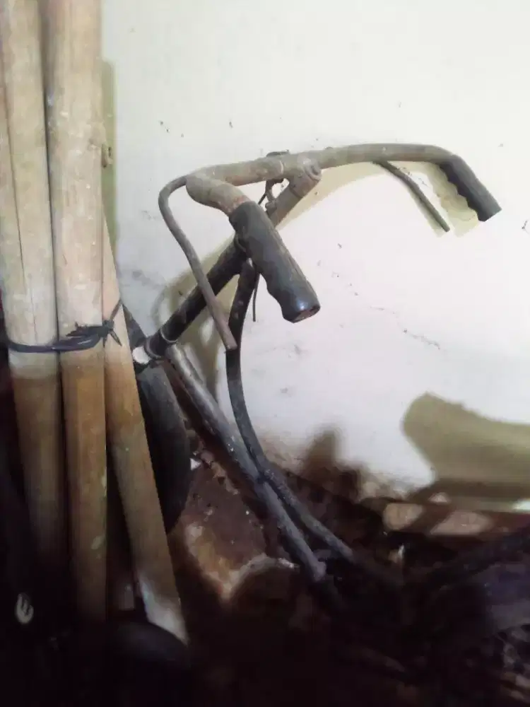 Sepeda Onthel mantap apa adanya