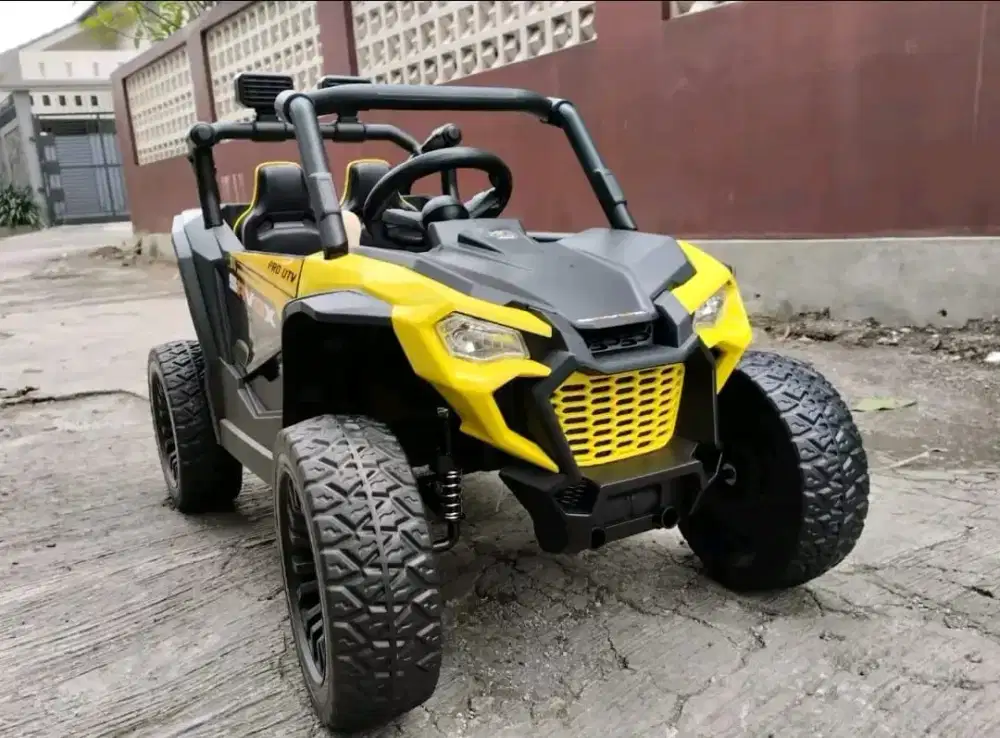 Mainan mobil aki remote anak