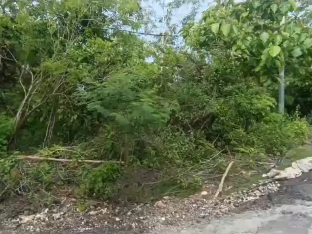 Dijual Tanah di wilayah Parawisata Lokasi di Jalam Belong Bunter Pecatu