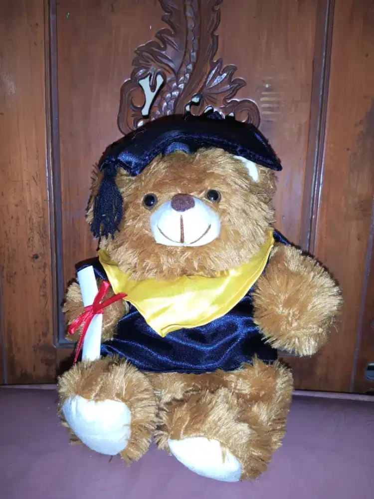 Boneka Wisuda Cute