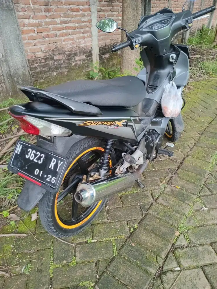 supra x 2010 DDB PGM-F1