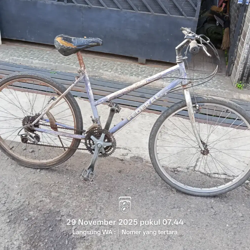Sepeda Federal Lady ORIGINAL Serial Number FC