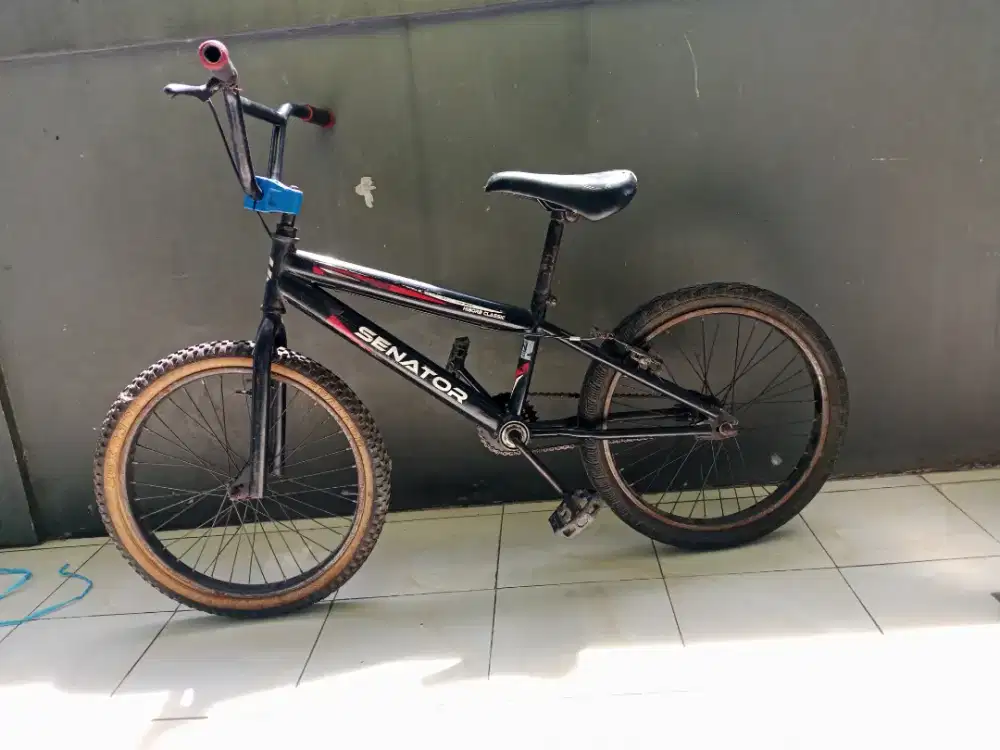 Dijual sepeda anak anak ukuran 20 (BMX)