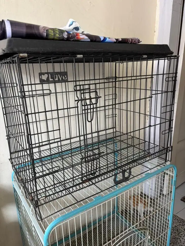 KANDANG KUCING BEKAS