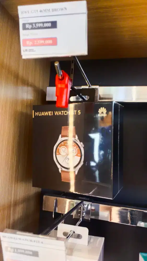 PROMO BUNGA RINGAN HUAWEI WATCH GT 5 46 MM