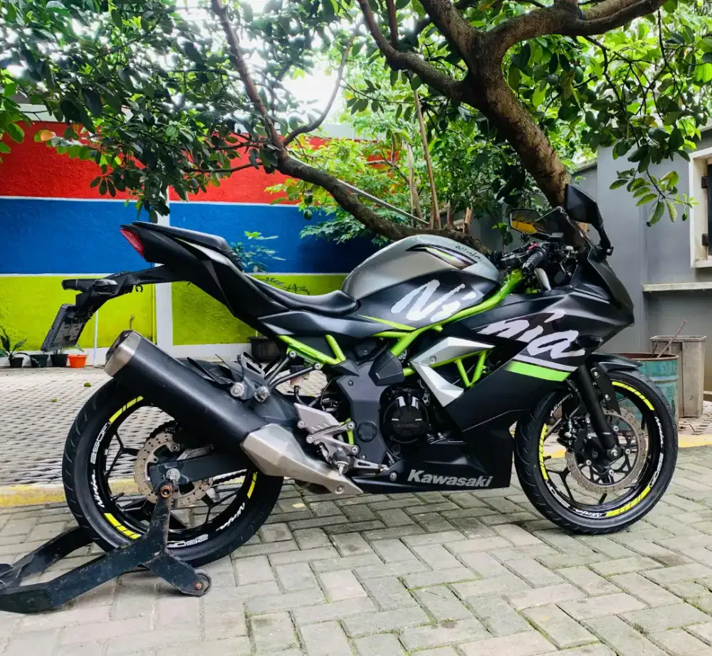 Kawasaki ninja 250 SL MONO