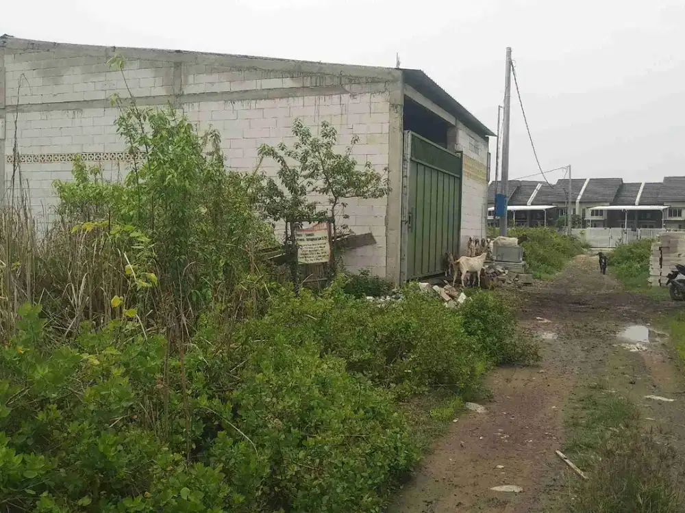 Tanah Gunung Anyar Tambak Murah