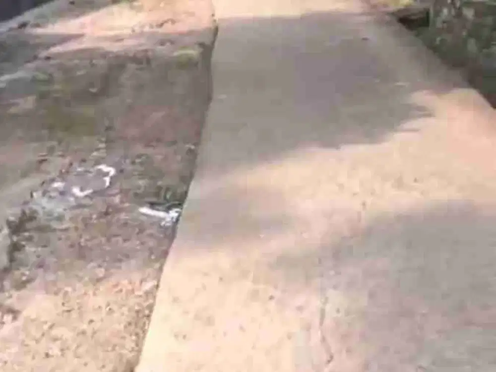 Jual tanah di Cisauk