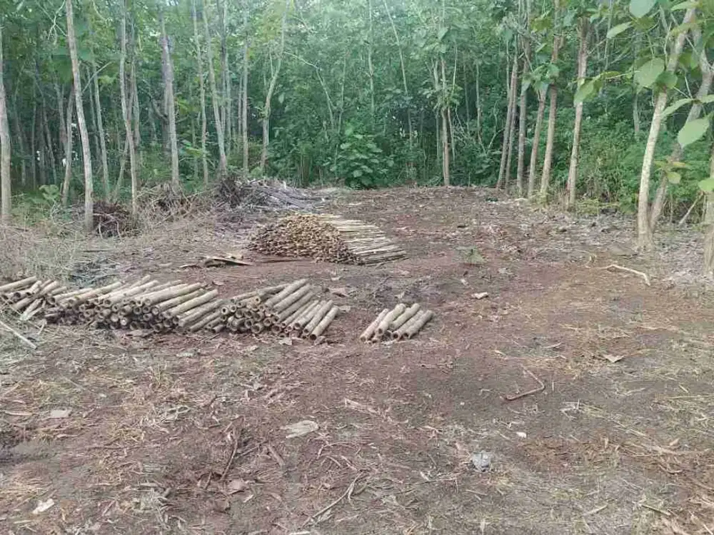 dijual tanah 26,50 are & 16 are dekat SMP negeri 5 Kutuh Kuta Selatan Badung Bali