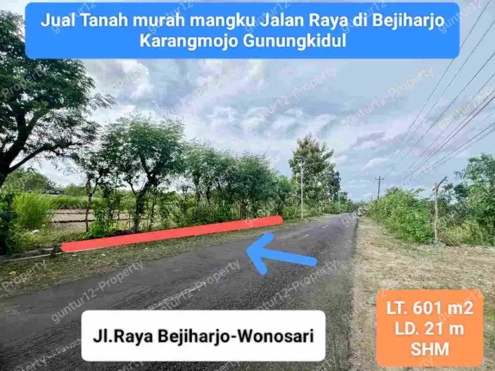 Tanah Murah Pekarangan Mangku Jalan Raya Utama Wisata Goa Pindul Gunungkidul Yogyakarta