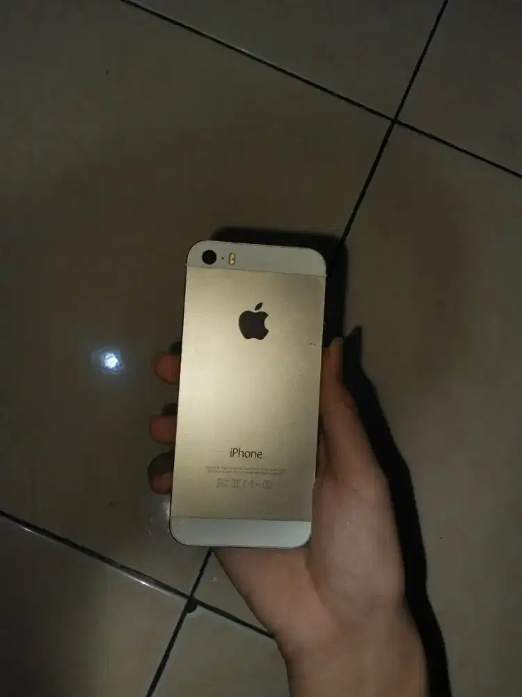 iphone 5s (activation lock)