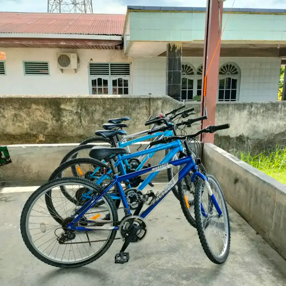 Sepeda Bekas Serba sejutaan aja