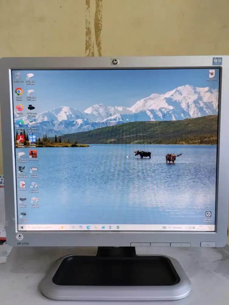 Monitor LCD HP L 1710