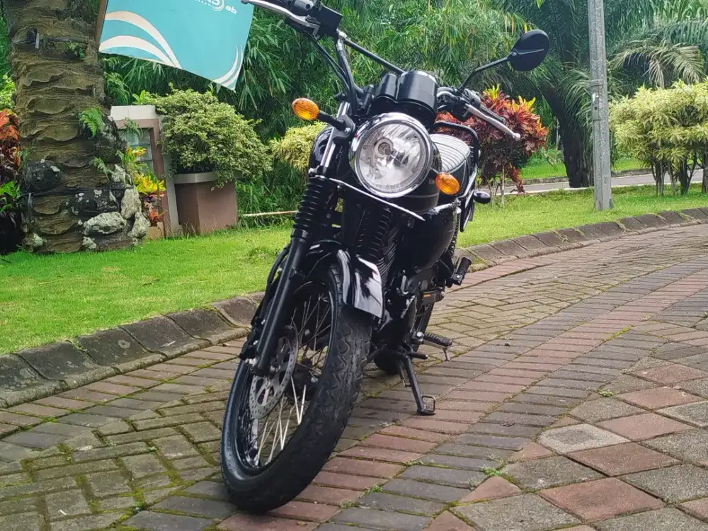 Kawasaki W175 SE Black Style