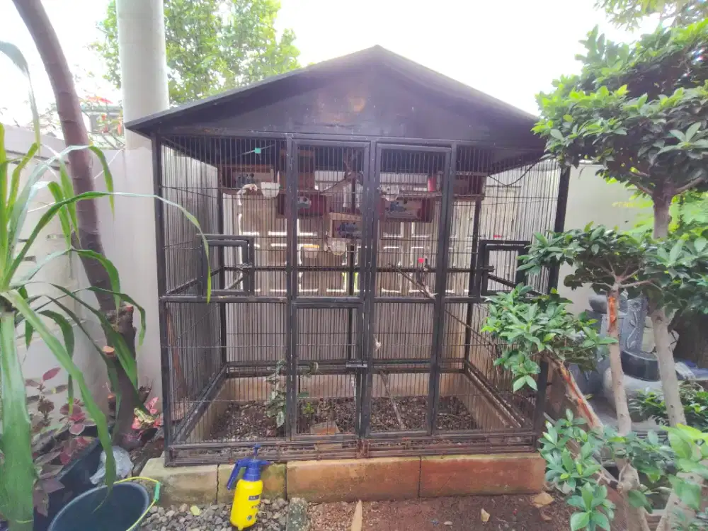 Kandang Burung Aviary