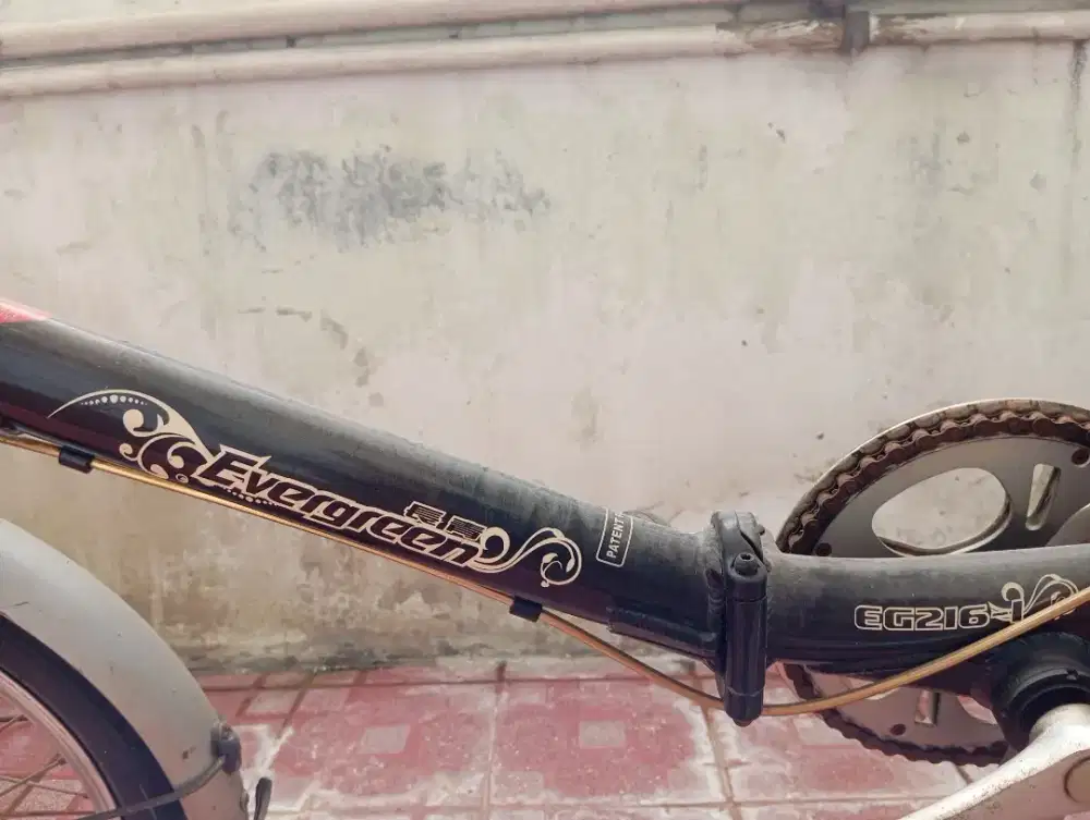 JUAL SEPEDA LUPAT EVERGREEN 20