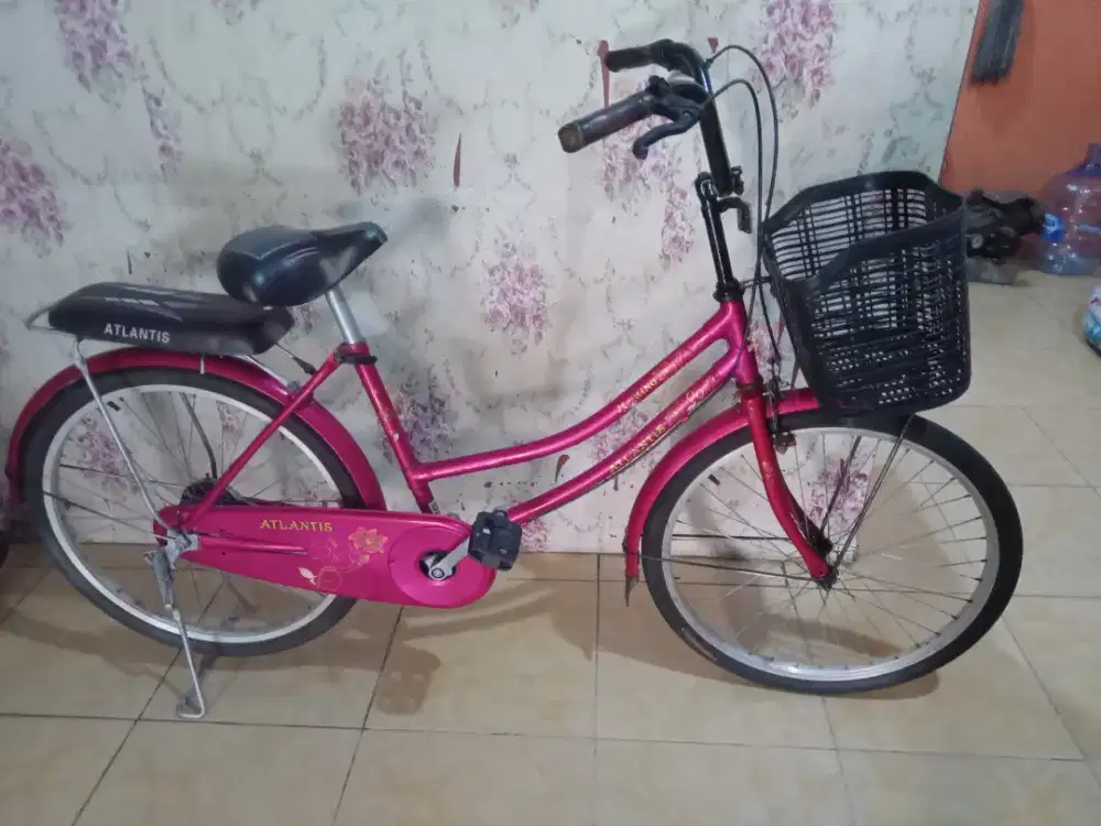 Jual cepet sepeda ring 24 dewasa