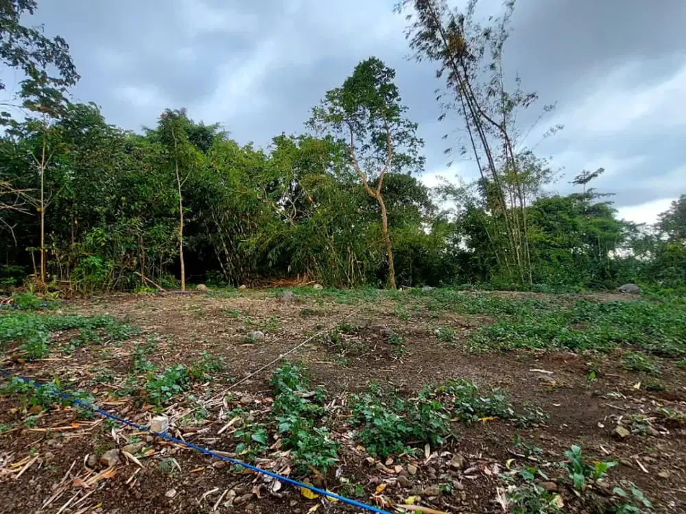 Mulai 1,9 Jutaan! Dapatkan Tanah di Lokasi Prospektif