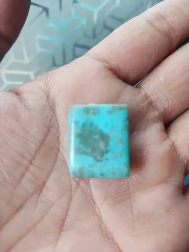 Natural pirus persia