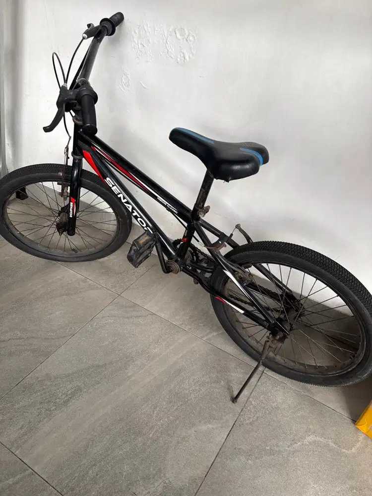 Sepeda senator black