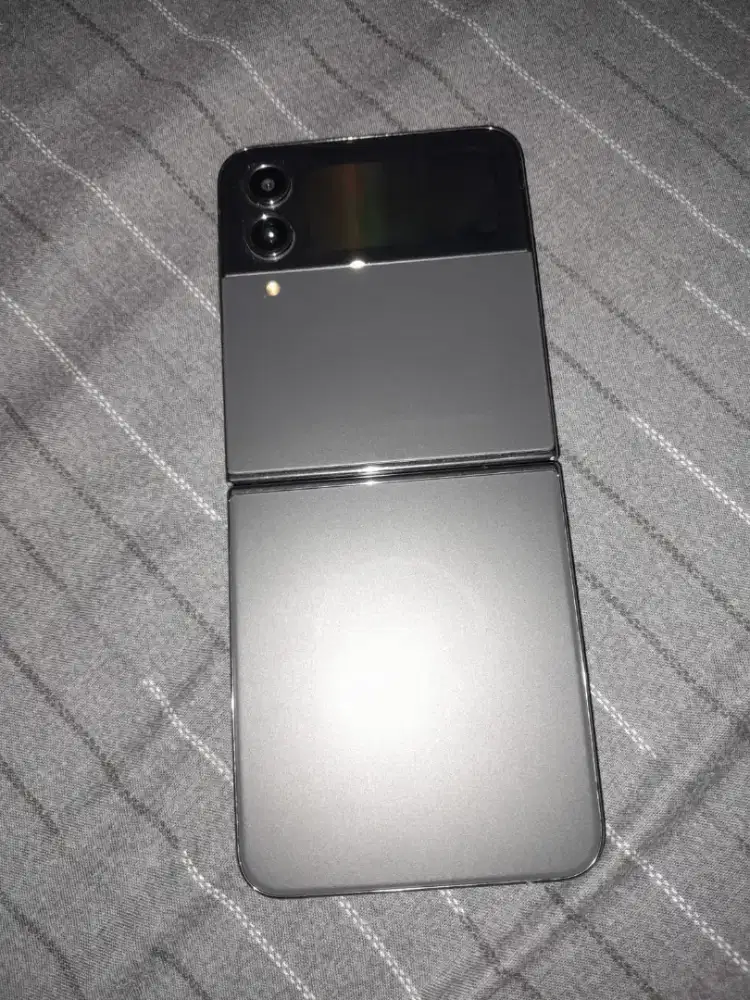 Samsung Z Flip 4 Sein