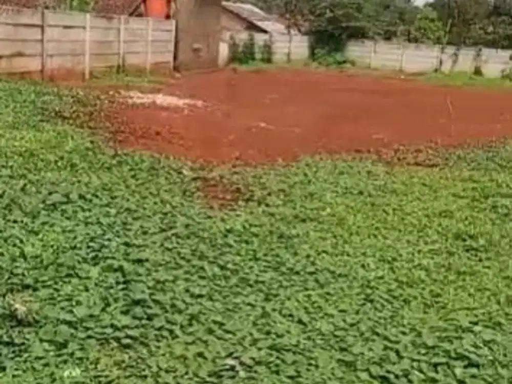 Dijual Tanah di Jln.Raya Cisauk Lapan, Bogor