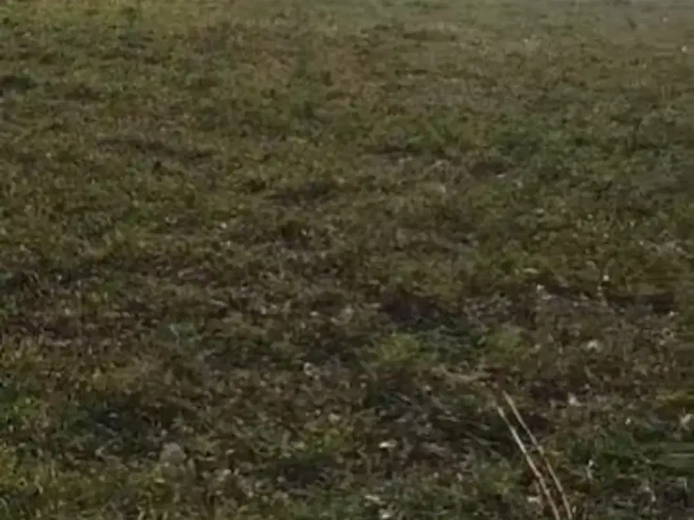 Dijual Tanah di Ciseng Bogor