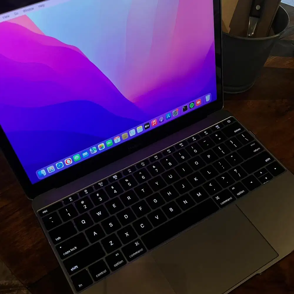 Macbook Retina 2016 12 inch RAM 8 SSD 256