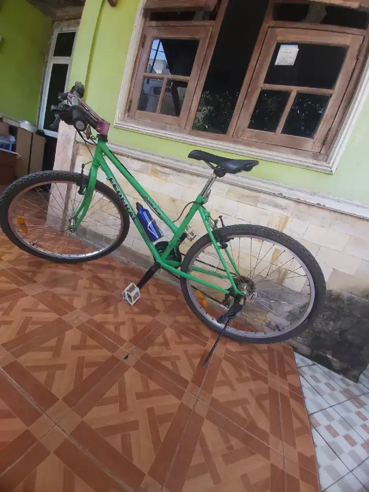 Speda lady repaint hijau n re-sticker (uk 26)