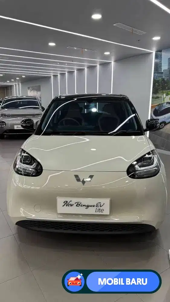 [Mobil Baru] Wuling new Binguo Lite