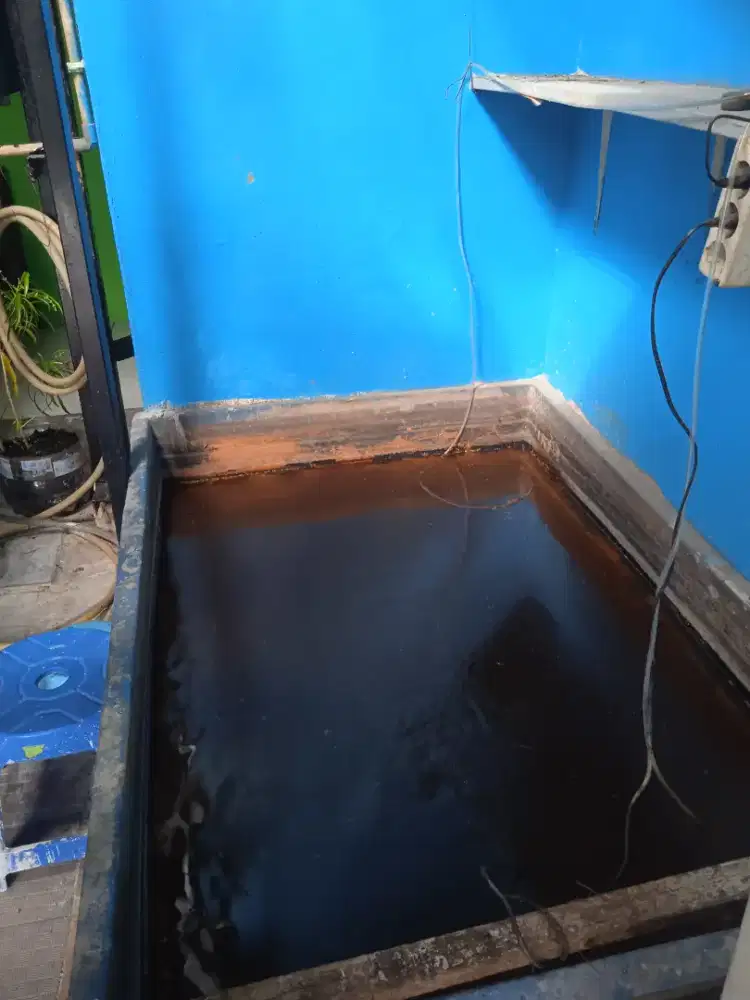 Kolam ikan 160 cm x 110 cm