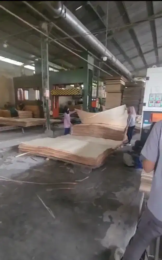 Tempat Usaha Pabrik Kayu Papan