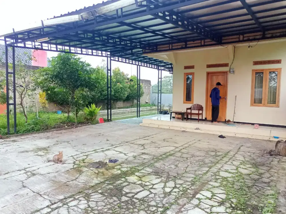 Rumah dan kolam ikan