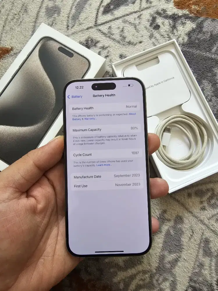iPhone 15 Pro 256 BH 80 %